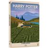 Warner Bros. HARRY POTTER E IL CALICE DI FUOCO TRAVEL ART (DS) (DVD)