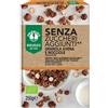 PROBIOS GRANOLA SENZA ZUCCHERI AGGIUNTI AVENA E NOCCIOLA SENZA GLUTINE 250 G