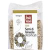 BAULE VOLANTE SEMI DI GIRASOLE SGUSCIATI 250 G