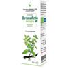 Caira Laboratorio Erboristico CAIRA MELISSAMENTIS MACERATO IDROALCOLICO BIO GOCCE 50 ML