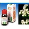 SPECCHIASOL Srl VALERIANA 36 TM 50ML