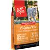 ORIJEN GATTO ORIGINAL 340G