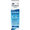 IBSA Farmaceutici Cerulisina Fast Naso/orecchio Spray 100 Ml