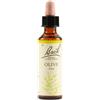 SCHWABE PHARMA ITALIA Srl Fiori di Bach Original 23 Olive 20 ml