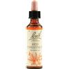 SCHWABE PHARMA ITALIA Srl Red Chestnut Fiori di Bach Originali 20 ml