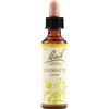 SCHWABE PHARMA ITALIA Srl Clematis Fiori Di Bach Original Rimedio Fitoterapico 20 ml
