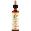 SCHWABE PHARMA ITALIA Srl Mimulus Fiore di Bach Coraggio e Fiducia 20 ml
