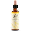 SCHWABE PHARMA ITALIA Srl Fiori Di Bach Scleranthus 20 ml