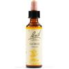 SCHWABE PHARMA ITALIA Srl Gorse Gocce Orali Omeopatiche 20 ml