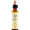 SCHWABE PHARMA ITALIA Srl Hornbeam Fiori Di Bach Originali 20 ml
