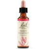 SCHWABE PHARMA ITALIA Srl Sweet Chestnut Bach Originali 20 ml