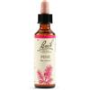 SCHWABE PHARMA ITALIA Srl Pine Fiori Di Bach Original Rimedio Fitoterapico 20 ml