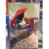 SUPERMAN/SPIDER-MAN - VARIANT DI RAFA SANDOVAL Panini - Italiano