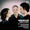 AMPED MÁRTON ILLÉS: BOWED SPACES