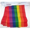 AZ FLAG Ghirlanda 6 Metri 20 Bandiere Arcobaleno 21x15cm, Bandiera Gay - Rainbow Flag 15 x 21 cm - Festone Bandierine