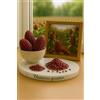 Générique 25 Semi di Mais Fragola Mogano - Zea mays - Una varietà rara e decorativa - Ornamental - POP CORN - Fruit Legume Giardino - 443