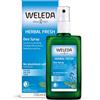 Weleda Deodorante Salvia, fragranza con puri oli essenziali naturali di salvia, rosmarino e lavanda, senza sali d'alluminio, dermatologicamente testato (1X100 ml)