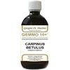 DR.GIORGINI SER-VIS Srl Gemmo 10+ carpino bianco 500 ml liquido analcolico