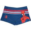 Disney Costume boxer bimbo blue spiderman