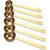Pilikoll 6 Pezzi Dorato Misurino Grammi con Manico Lungo Cucchiaio Da Caffè Con Manico Lungo Cucchiaio Dosatore da Caffè per Caffè Macinato, Grani, Polvere, Espresso(5ml,10ml,15ml,20ml,25ml,30ml)