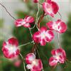 Hellum Catena luminosa a LED per interni con orchidee rosa, 10 LED bianco caldo, lunghezza 1,35 m, con batteria, catena luminosa fiori, decorazione 300178