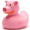 Duckshop Duck Shop I Badeente maiale I Quietscheente
