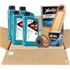 Generico KIT Tagliando Specifico per Citroën C3 II 1.4 1.6 VTI (XENERGY, KIT)