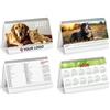 Calendario da tavolo Cani e Gatti 2027, 19x14.5cm, 13 fogli Personalizzate o neutre