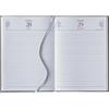 Interno Giornaliero 17x24 Personalizzate o neutre