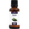 La Compagnie des Sens Ribes Nero - 30 mL - Macerato di gemme BIO (Ribes Nigrum)