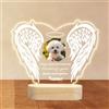 Umitive Luminaria Personalizzata per Cani,Lampada LED con Foto & Nome del Cane, Design con Cuore & Impronte, Regalo Commemorativo per la Perdita dell'Animale Domestico con Data (Stile 03)