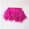 Blausky Nastro con piume di struzzo, 1 m, con piume di struzzo, strisce di tessuto, frange con nastro di raso, per fai da te, cucito, artigianato, abbigliamento da matrimonio, rosa A