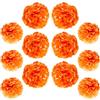 Ruidee 12 Pezzi Carta Velina Pompon 25cm e 30cm Fiori Sospesi Decorazioni Colorate Palle di Fiori Carta Fiori Pompon per Decorazione di Festa e Matrimonio (ZH/Arancia)