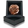 Aluisi Fiori Rosa Stabilizzata Rame in Cofanetto Nero - Rosa Stabilizzata Vera - Rosa Eterna - Fiore Stabilizzato - Fiori Stabilizzati - Simbolo di Flessibilità e Gentilezza - Idea Regalo