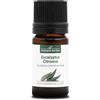 La Compagnie des Sens EUCALIPTO LIMONE BIO - 5mL - Olio Essenziale di Qualità Premium - 100% Puro, Naturale, certificato ChromaCert® - Chemotipato e Integrale