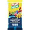 Generico Terriccio Professionale CINQUESTELLE 20L | Substrato Universale per Piante da Giardino | Terrazzo e Interno | Ricco di Nutrienti | Soffice e Drenante | Ideale per Fiori | Ortaggi e Piante Verdi