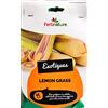 Generic CITRONELLA LEMONGRASS (CONFEZIONE DA 3 RADICI) DA SEMINA INTERRARE