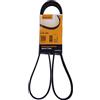 CONTITECH 6PK1560 Cinghie Trapeiz