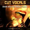 LucidSamples Samples Loop vocali Techno, House & Dance per produttori e Dj musicali. Qui troverai 178 Dance Vocal Loops, 100 House Vocal Loops, 118 DJ | AIFF Download