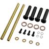 Royal Sun Kit di Boccole per Braccio A Anteriore Inferiore 7501093 per Polaris Sportsman 400 500 570 600 700 800, Trail Blazer 250 330 400, ecc. Boccole Ammortizzatore per Braccio A Anteriore
