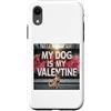 Belgian Malinois Puppy Lover PS Custodia per iPhone XR Il mio cane è il mio San Valentino Malinois Street Graffiti