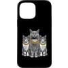 Cool 3 Hip Hop Trio Street Gold Chain Fu Custodia per iPhone 13 Pro Max Cat Rap Old School Retro Streetwear anni '80 '90 Tre