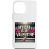 Sphynx Kitten Lover PS Custodia per iPhone 13 Pro Max My Cat Is My Valentine Sphynx Street Graffiti Amante dei gatti