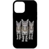 Cool 3 Hip Hop Trio Street Gold Chain Fu Custodia per iPhone 12 mini Tabby Cat Rap Old School Retro Streetwear anni '80 '90 Tre