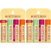Burt's Bees Balsamo per Labbra, Set di Balsamo per Labbra con Cera d'Api, Cetriolo Menta, Anguria, Mandarino Dolce, Freshly Picked, 4 x 4.25 g (Confezione da 2)