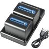 DSTE DE NP-FM70/QM71D/NP-QM71 (2 pezzi) Batteria di ricambio ricaricabile e caricatore Dual compatibile con NP-F550, F750, F970, FM55H, FM500H, HVL-IRM, HVL-ML20M, HVR-A1U, npf ecc