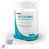 CHEMI-VIT SRL PETMOD INTESTINAL GATTO POLVERE 50 G