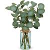 Hollyone Steli di eucalipto artificiale da 35 cm in vaso di vetro con acqua finta, 35,6 cm, foglie di eucalipto finte per decorazione domestica, soggiorno, camera da letto, ufficio, centrotavola per