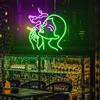 Maimeili Fumer LED Neon Schild für Murdecoration USB regolabile Lumière Salon Bar Pub Club Assemblées Art Murdecoration