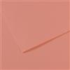 CANSON Foglio MI-TEINTES A4 cm 160 gr. 352 rosa scuro C31032S016